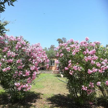 Villa Olia Tortoli Luaran gambar