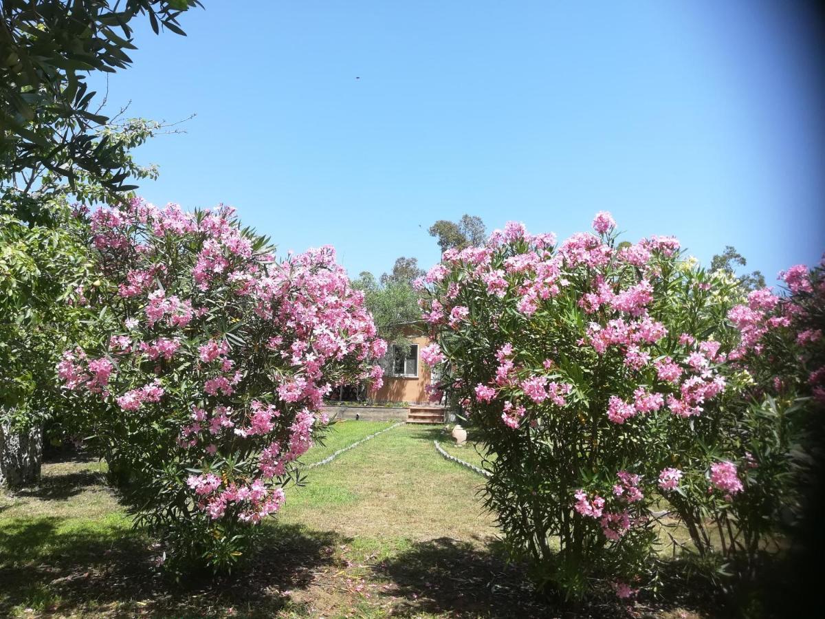 Villa Olia Tortoli Luaran gambar