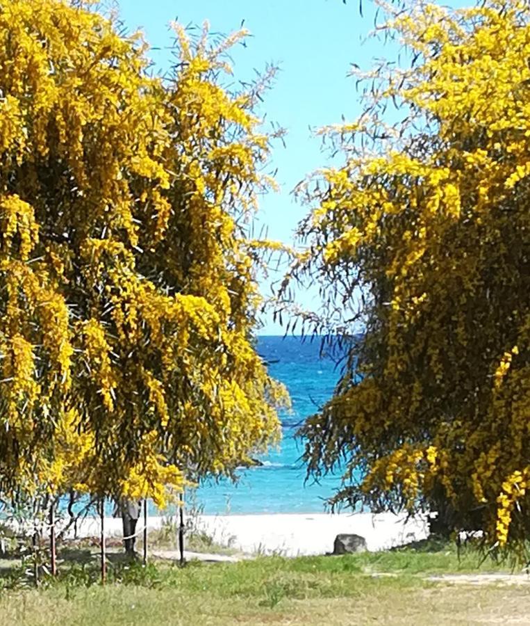 Villa Olia Tortoli Luaran gambar
